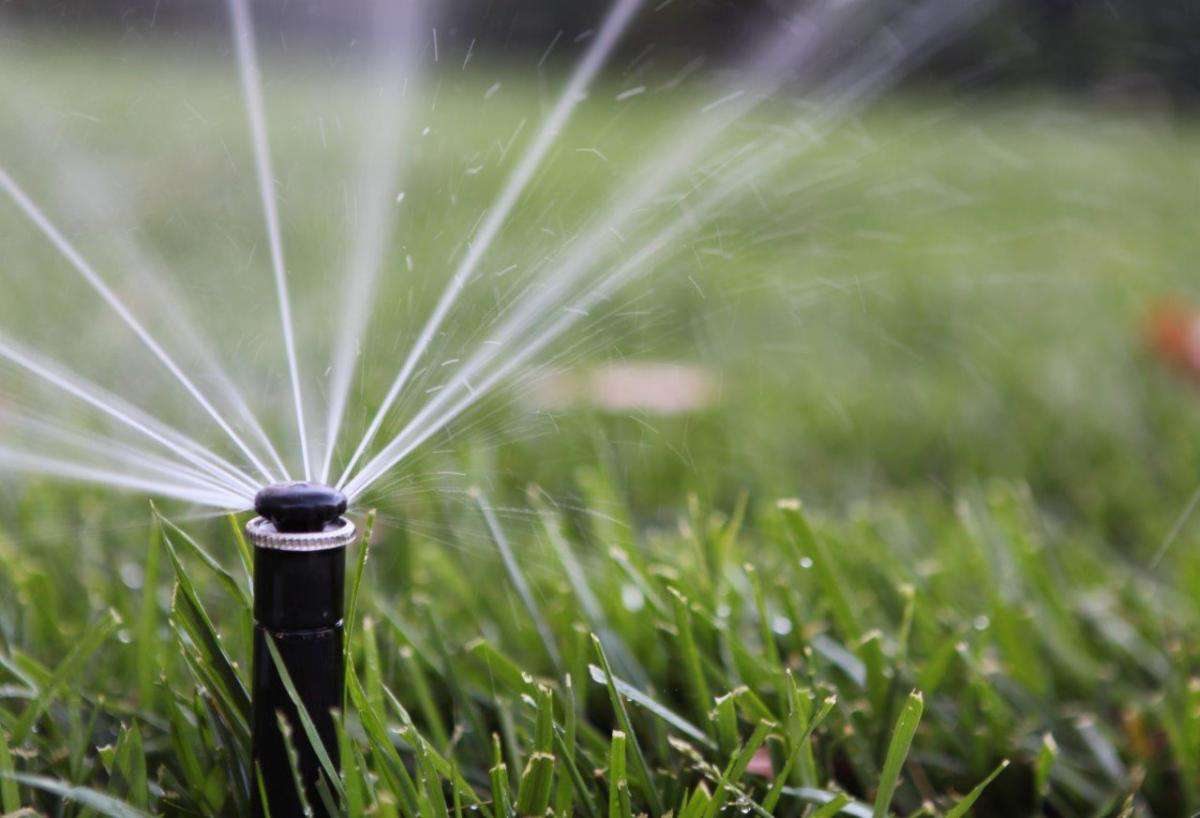 Common Sprinkler Head Problems and Solutions to them - Pro Green