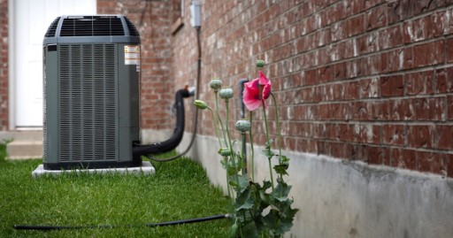 Outdoor AC with weeds